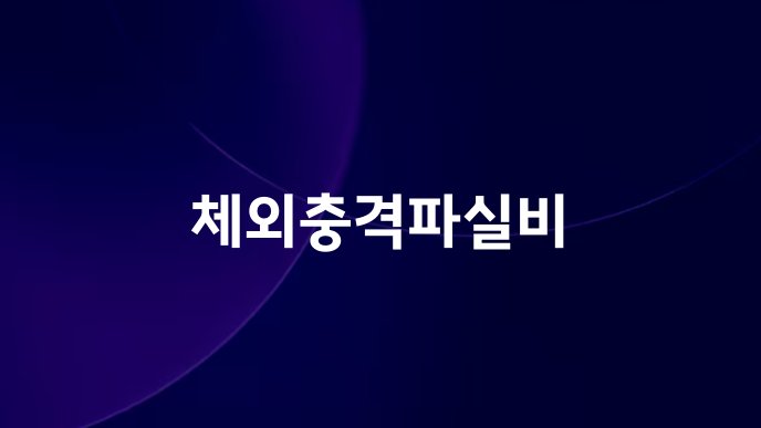 체외충격파실비
